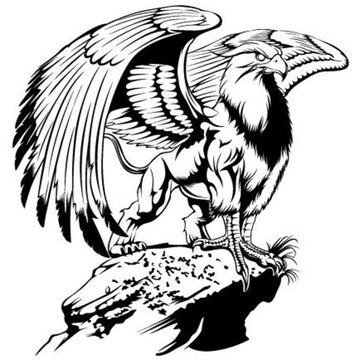 Tetování griffin
