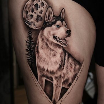 tetování návrhy husky