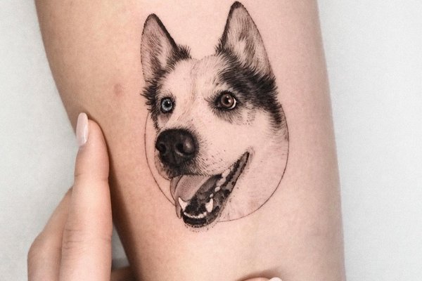tetování návrhy husky