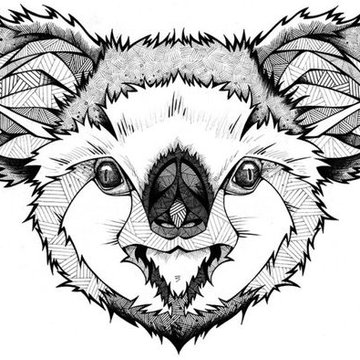 Tetování koala