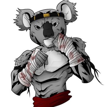 Tetování koala