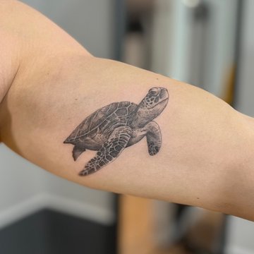 tetovací návrhy želvy