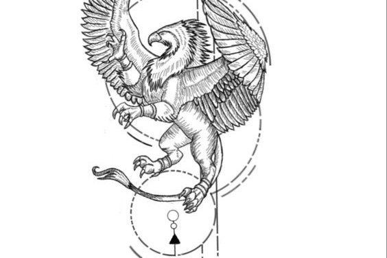 Tetování griffin