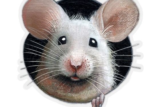 tetování myši