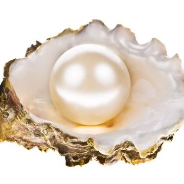 Tetování Pearl