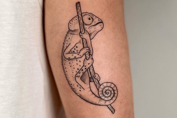 tetování návrhy chameleon