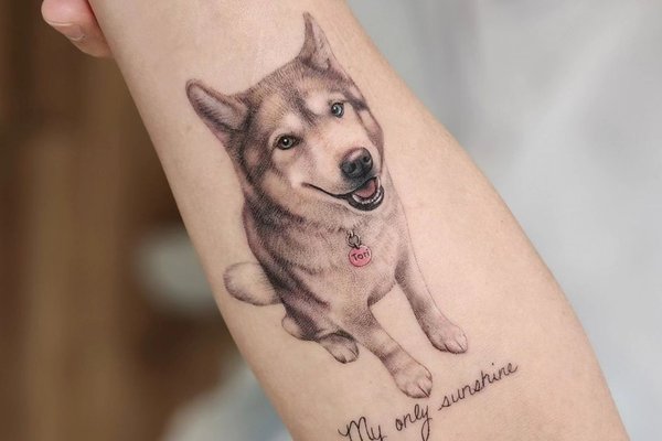 tetování návrhy husky