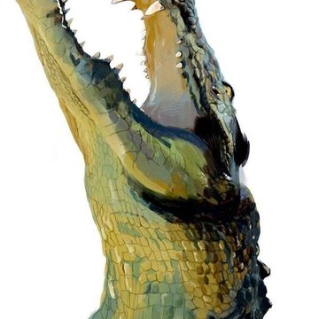 Tetování krokodýl
