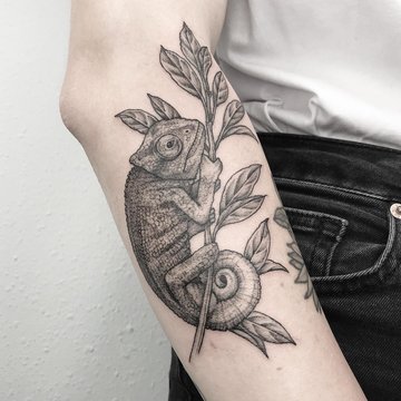 tetování návrhy chameleon