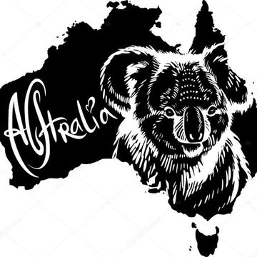Tetování koala