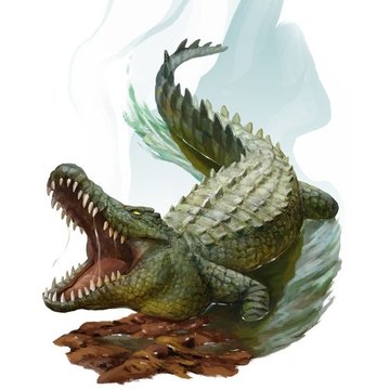 Tetování krokodýl