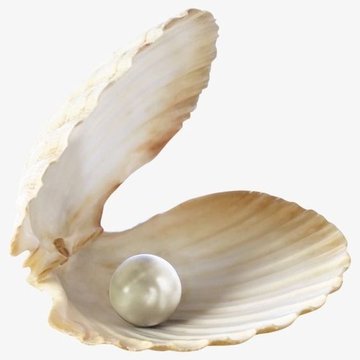 Tetování Pearl