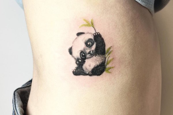 Tetování panda