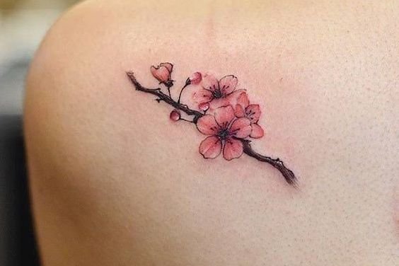 Tetování sakura