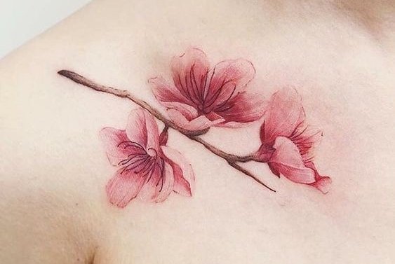 Tetování sakura